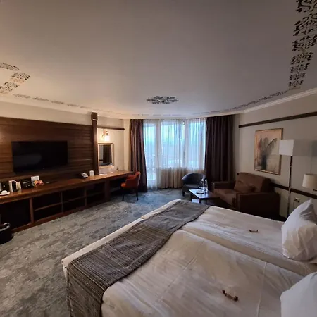 Hot Springs Medical And Hotell Banja