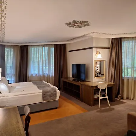 Hotell Hot Springs Medical And Banja