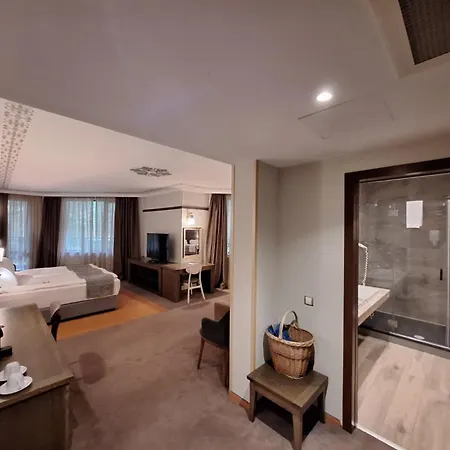 Hot Springs Medical And 4* Banja