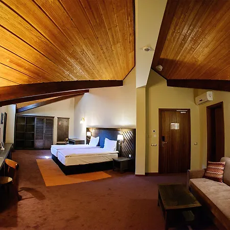 Отель Hot Springs Medical And 4*