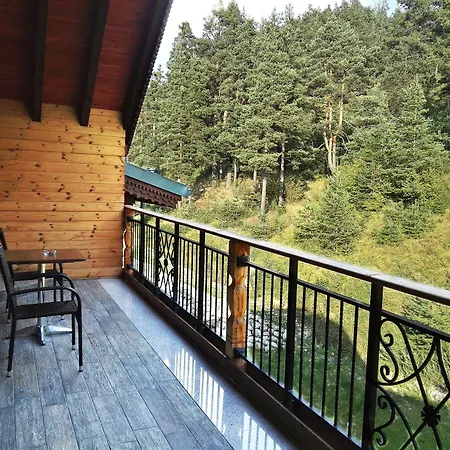 Hot Springs Medical And Отель 4*