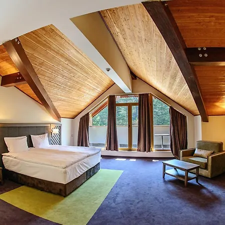 Отель Hot Springs Medical And 4*