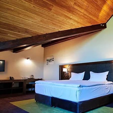 Hot Springs Medical And Otel 4*