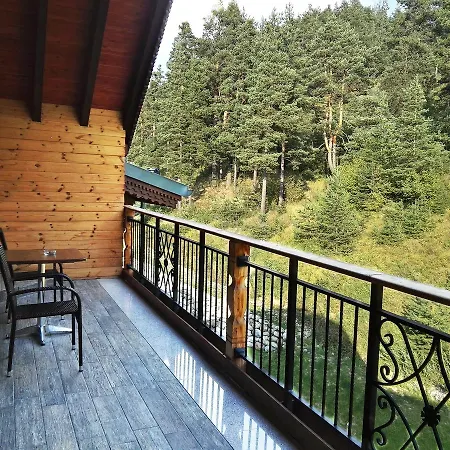 Hot Springs Medical And Hotel Banya