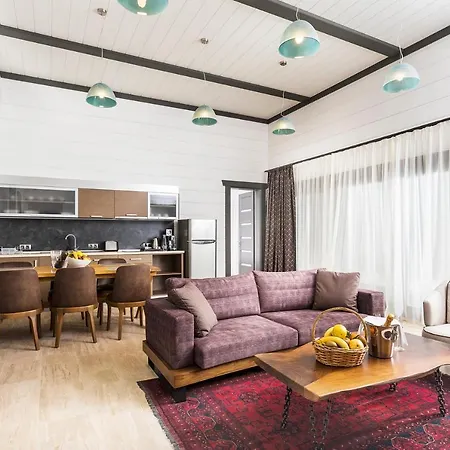 Hot Springs Medical And Otel 4*