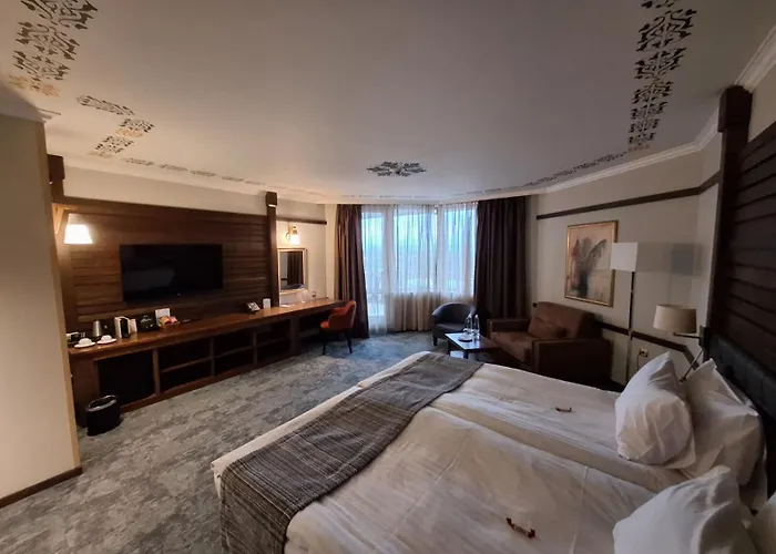 Hot Springs Medical And Hotel Banja